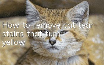 How to remove cat tear stains that turn yellow
