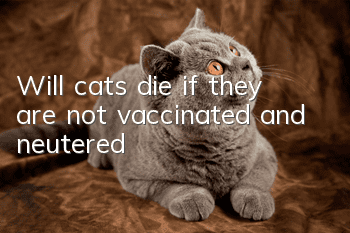 Will cats die if they are not vaccinated and neutered?