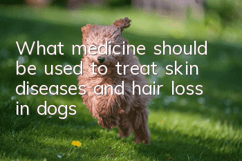 What medicine should be used to treat skin diseases and hair loss in dogs?