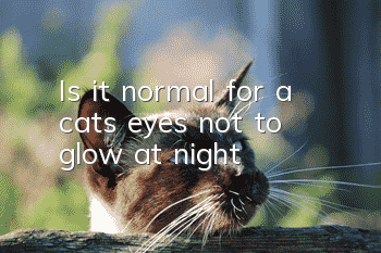 Is it normal for a cat’s eyes not to glow at night?
