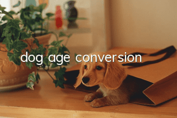 dog age conversion