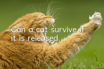 Can a cat survive if it is released?