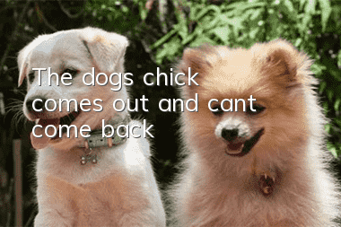 The dog’s chick comes out and can’t come back