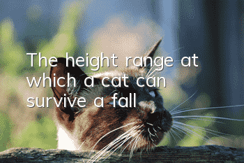 The height range at which a cat can survive a fall