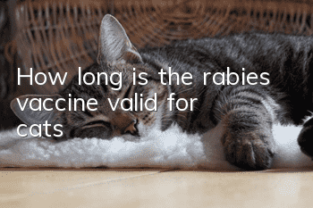 How long is the rabies vaccine valid for cats?