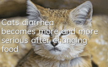Cat's diarrhea becomes more and more serious after changing food