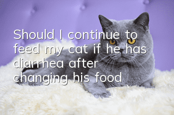 Should I continue to feed my cat if he has diarrhea after changing his food?