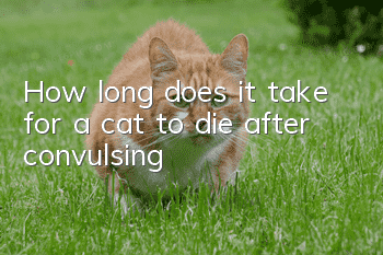 How long does it take for a cat to die after convulsing?