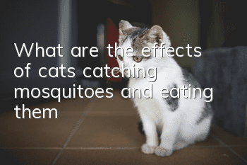 What are the effects of cats catching mosquitoes and eating them?