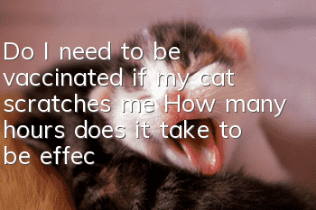 Do I need to be vaccinated if my cat scratches me? How many hours does it take to be effective?