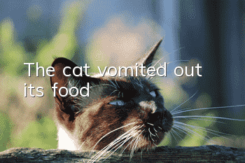 The cat vomited out its food
