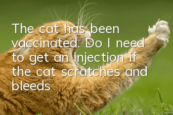 The cat has been vaccinated. Do I need to get an injection if the cat scratches and bleeds?
