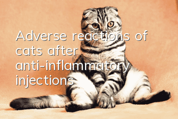 Adverse reactions of cats after anti-inflammatory injections
