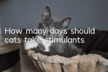 How many days should cats take stimulants?