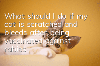 What should I do if my cat is scratched and bleeds after being vaccinated against rabies?