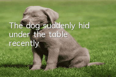 The dog suddenly hid under the table recently