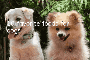10 favorite foods for dogs