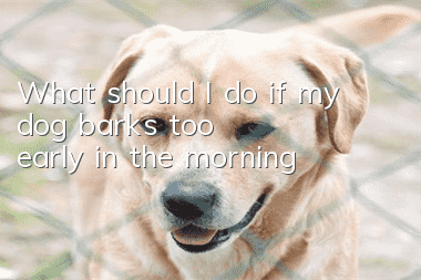 What should I do if my dog barks too early in the morning?