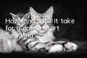 How long does it take for a cat to start meowing?
