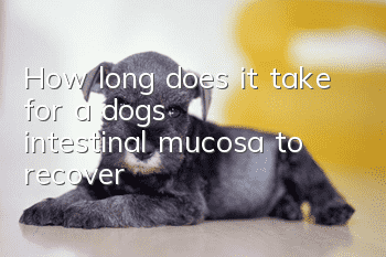 How long does it take for a dog’s intestinal mucosa to recover?