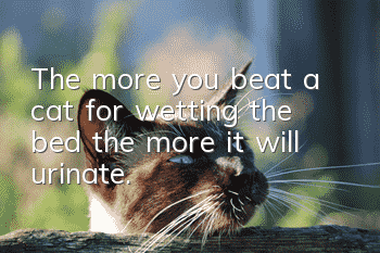 The more you beat a cat for wetting the bed, the more it will urinate.