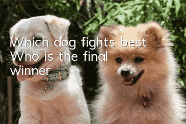 Which dog fights best? Who is the final winner?