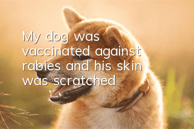 My dog was vaccinated against rabies and his skin was scratched