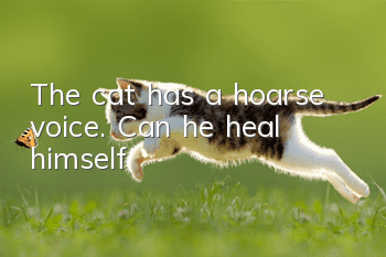 The cat has a hoarse voice. Can he heal himself?