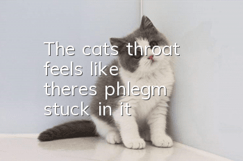 The cat's throat feels like there's phlegm stuck in it