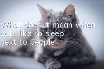 What does it mean when cats like to sleep next to people?