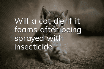 Will a cat die if it foams after being sprayed with insecticide?