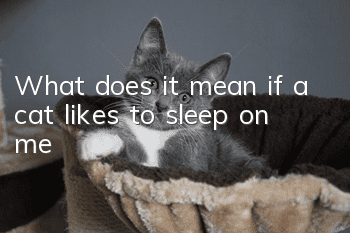 What does it mean if a cat likes to sleep on me?