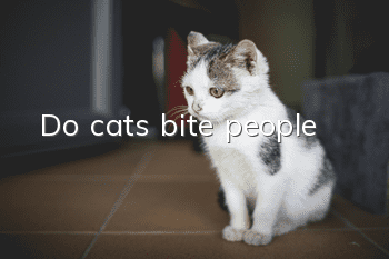 Do cats bite people?