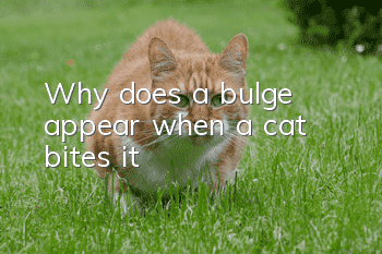 Why does a bulge appear when a cat bites it?