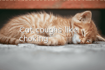 Cat coughs like choking