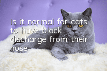 Is it normal for cats to have black discharge from their nose?