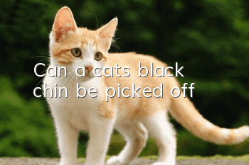 Can a cat's black chin be picked off?