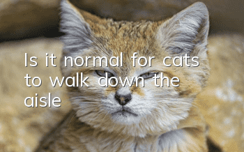 Is it normal for cats to walk down the aisle?