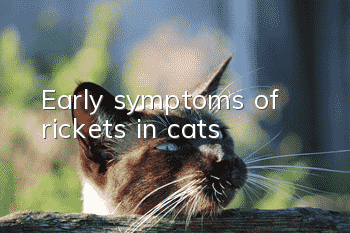 Early symptoms of rickets in cats