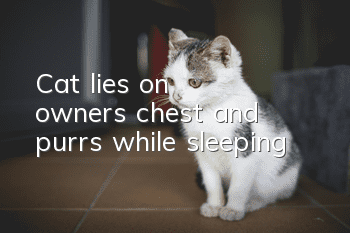 Cat lies on owner's chest and purrs while sleeping