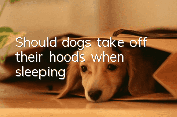 Should dogs take off their hoods when sleeping?