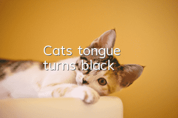 Cat's tongue turns black