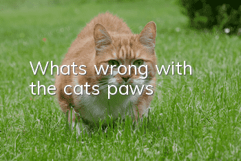 What's wrong with the cat's paws?