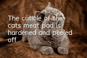 The cuticle of the cat's meat pad is hardened and peeled off