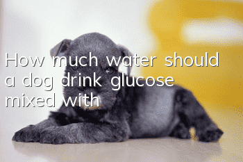 How much water should a dog drink glucose mixed with?