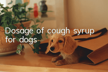 Dosage of cough syrup for dogs