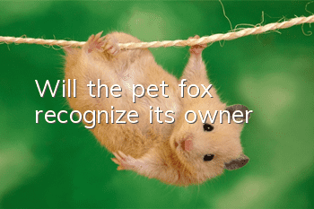 Will the pet fox recognize its owner?