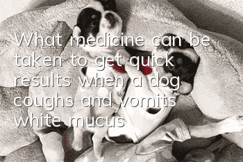 What medicine can be taken to get quick results when a dog coughs and vomits white mucus?
