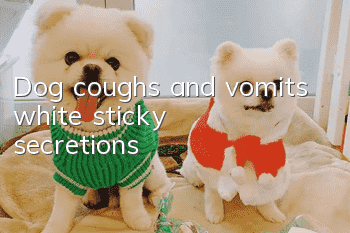 Dog coughs and vomits white sticky secretions