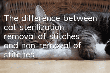 The difference between cat sterilization, removal of stitches and non-removal of stitches